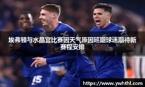 埃弗顿与水晶宫比赛因天气原因延期球迷期待新赛程安排